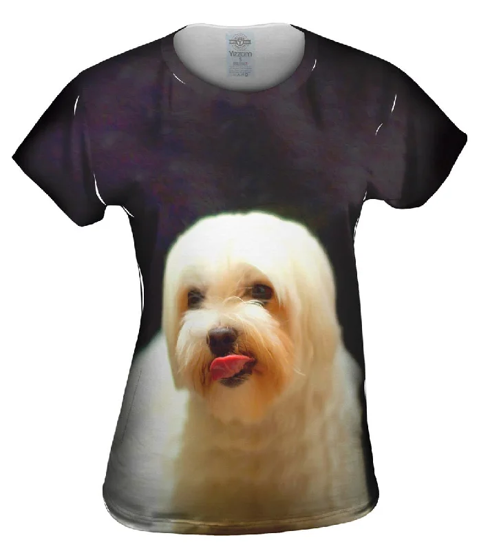 Big Savings Painting Gold Maltese