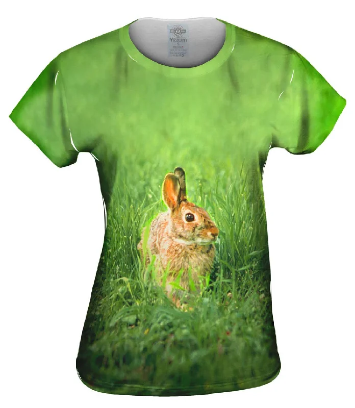 Special Price Peter Rabbit