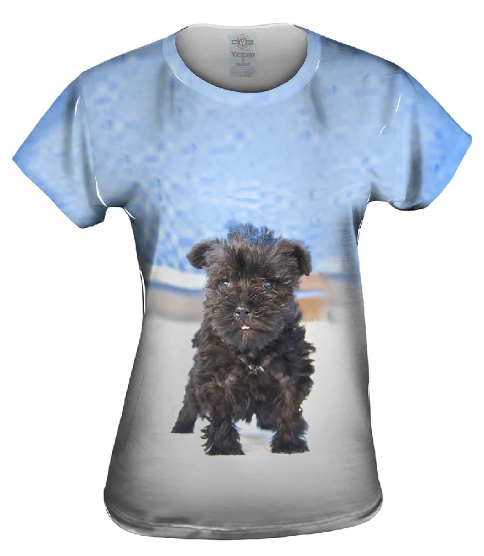 Weekend Offers That Impress Quirky Schnauzer Poolside