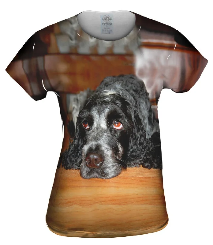 Weekend Specials to Grab Quizzical Cocker Spaniel