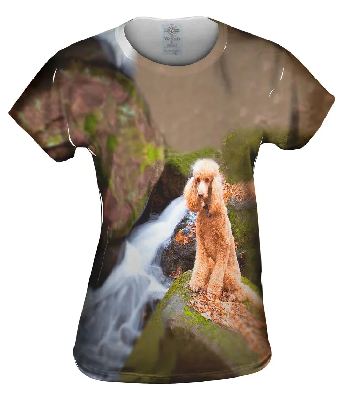 Closeout Deal Poodle Up A Creek