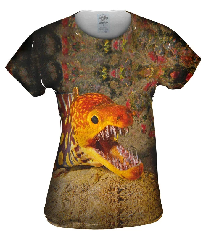 Discount Deals Picopato Eel Sharp Teeth Underwater