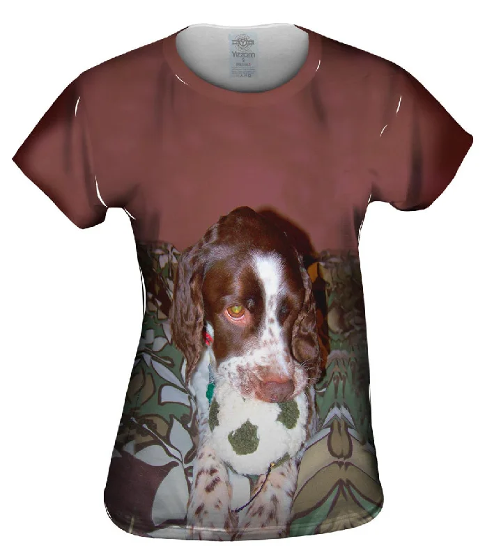 Weekend Offers That Shine Play Time English Pointer