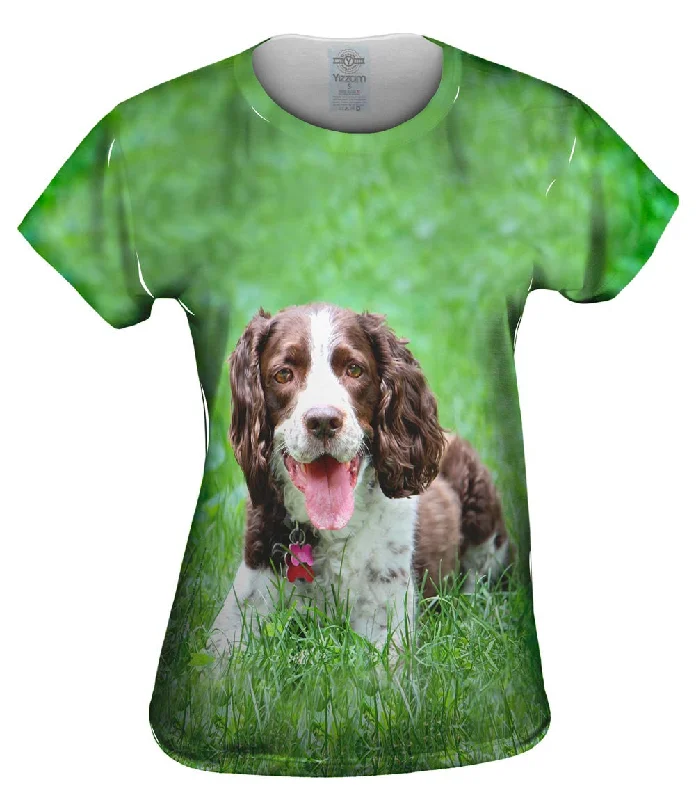 Shop and Save Outgoing Cocker Spaniel In Garden
