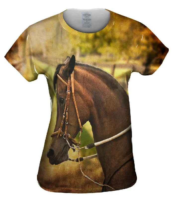 Great Deals Paso Fino Lord