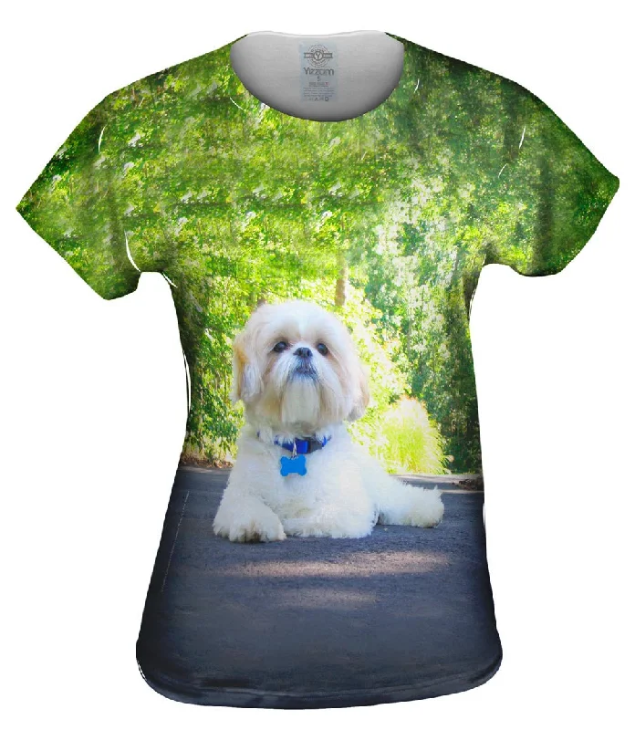 Half Price Poodle On Highway