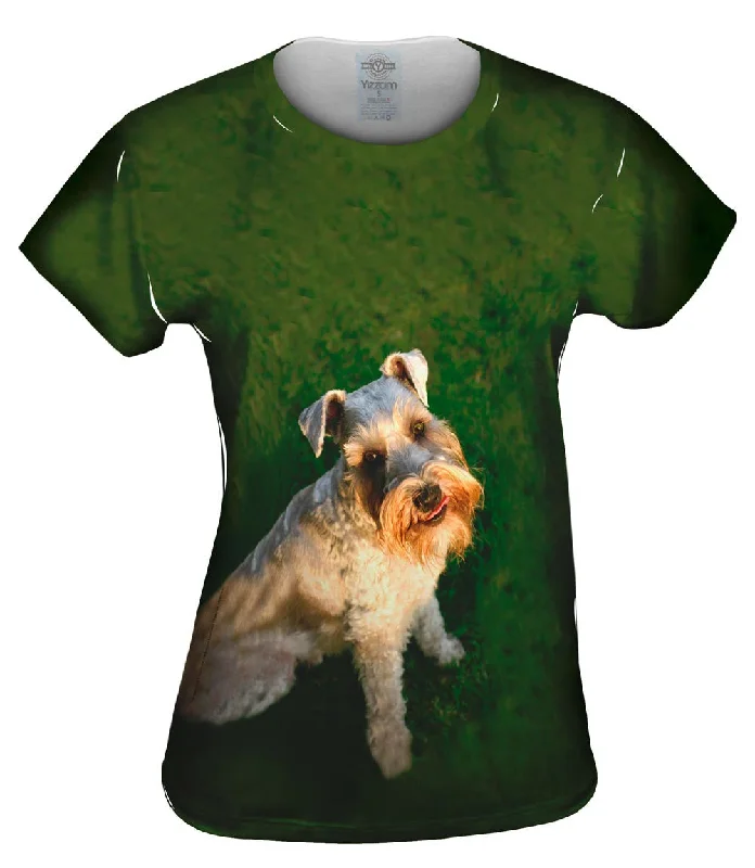 Major Savings Photo Loving Schnauzer