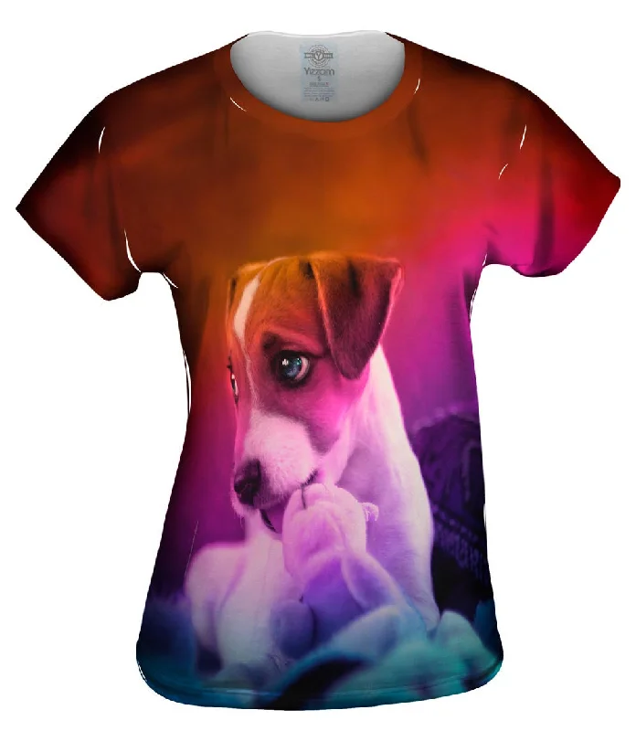 Instant Discount Parson Terrier Puppy