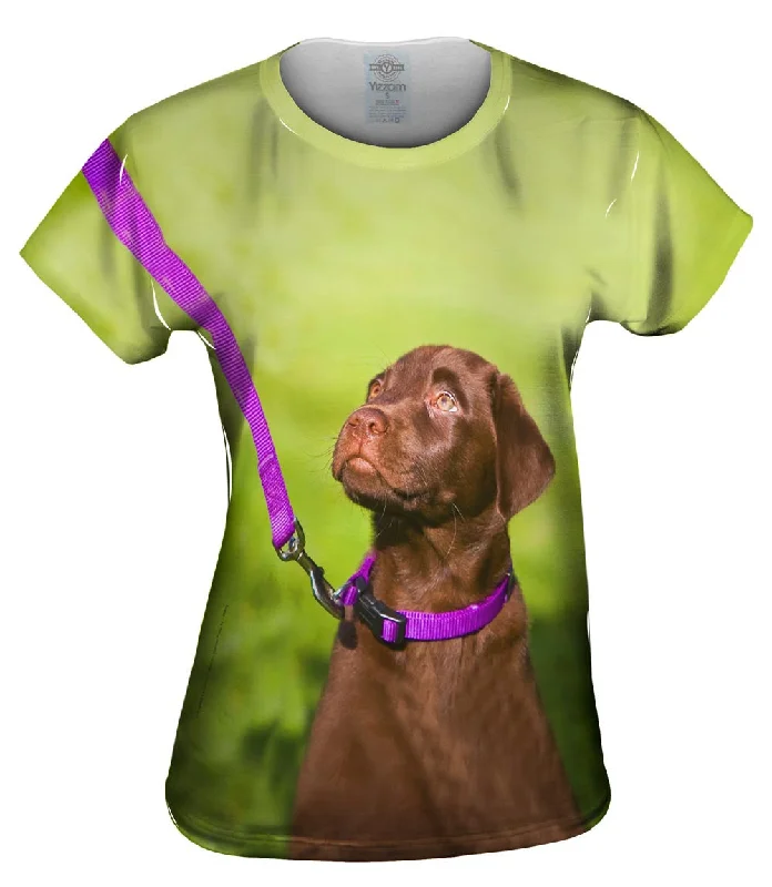 Special Discount Obedient Chocolate Lab