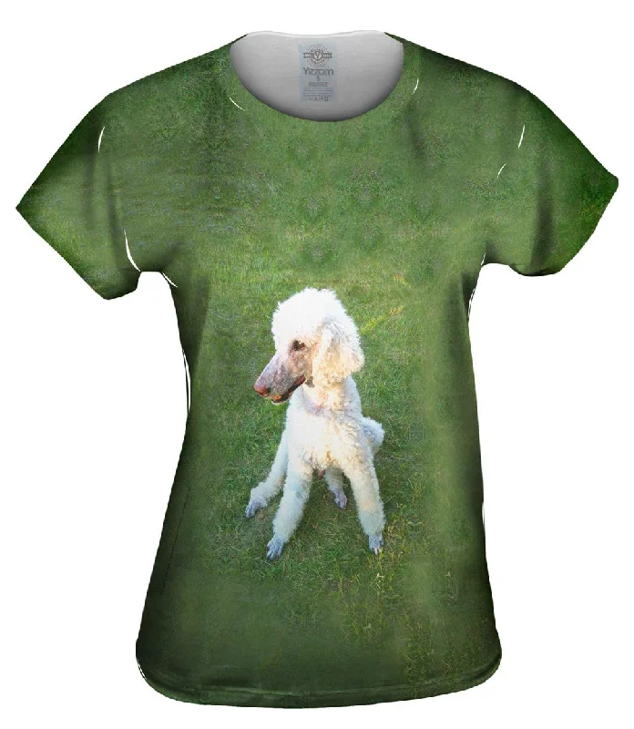 Exclusive Offer Poodle Tripod