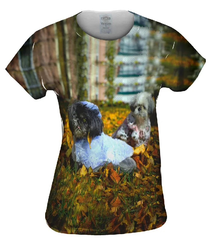 Top Pick Poodles In Fall