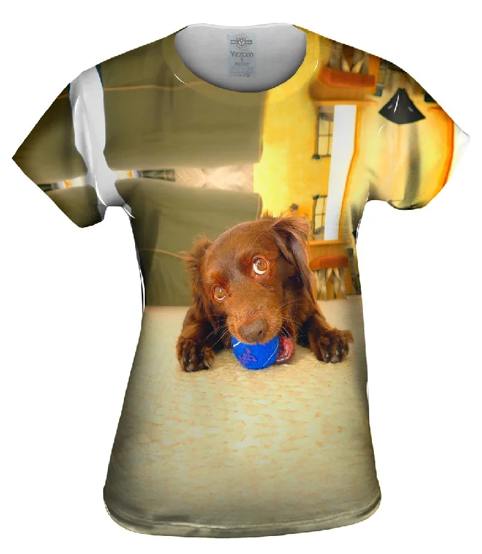 Weekend Bargains Just for You Playful Dachshund