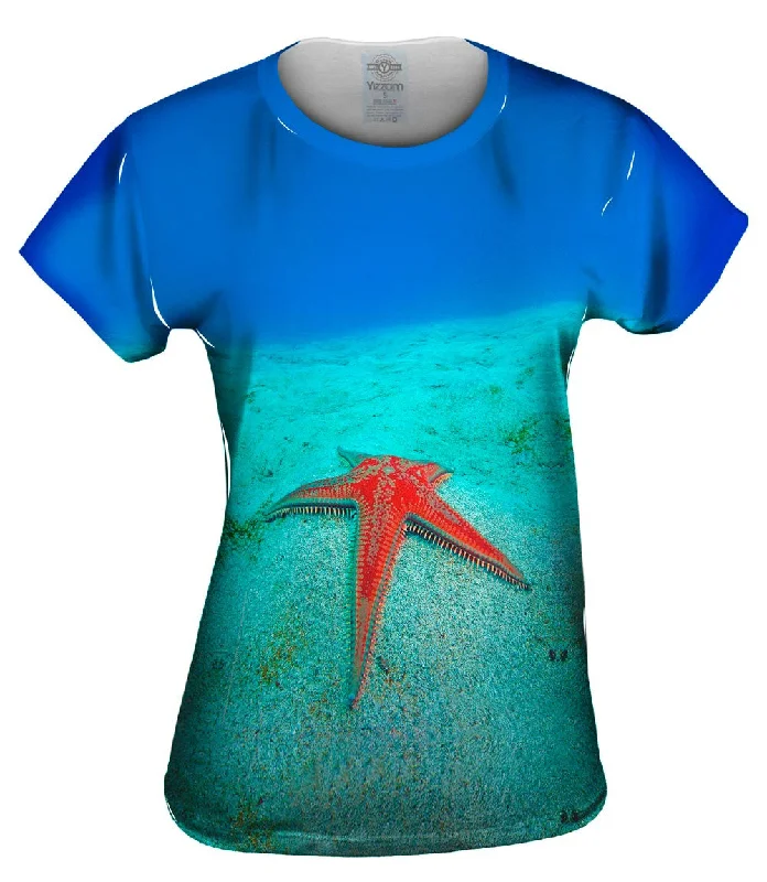 Last Chance Pecheur De Stars Starfish Underwater