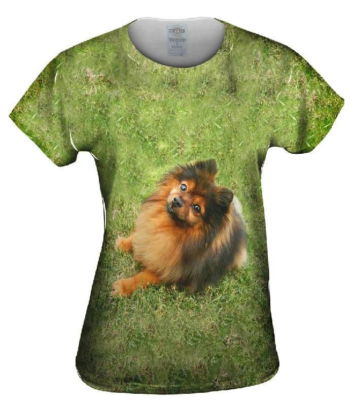 Sale Event Obedient Pomeranian