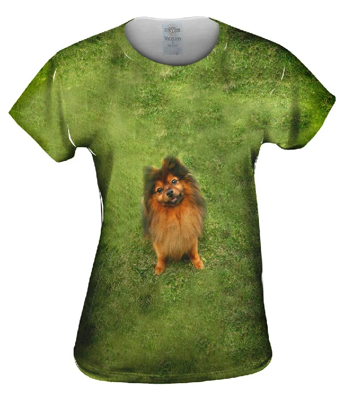 Huge Discounts Photogenic Pomeranian