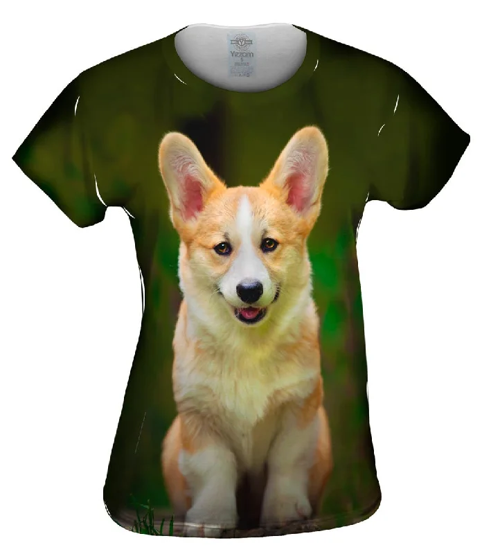 Today Only Pembroke Welsh Corgi Dog