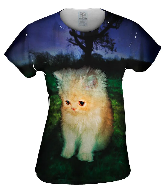 Stock Clearance Oak Tree Kitten