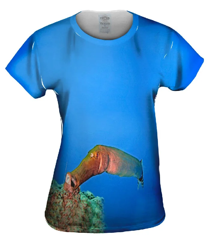 Weekend Savings Spree Poison Turlutte Underwater
