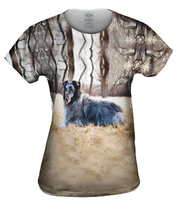 Daily Deals Old Grey Sheltie