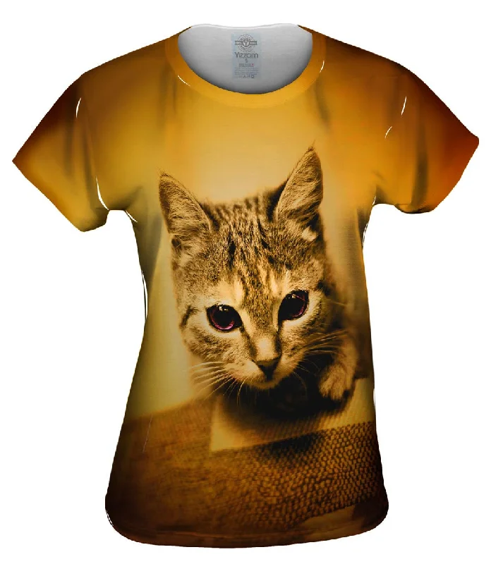Weekend Discounts to Snag Racer Kitten