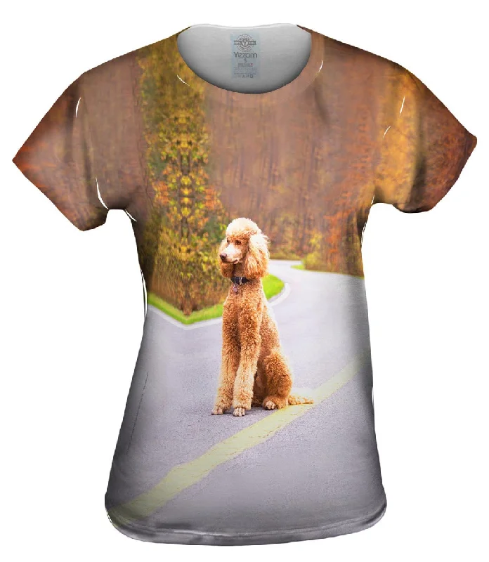 Midnight Madness Poodle Going North
