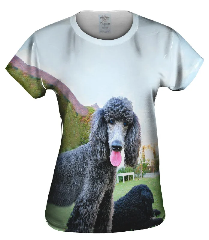 Savings Galore Poodle And Friend