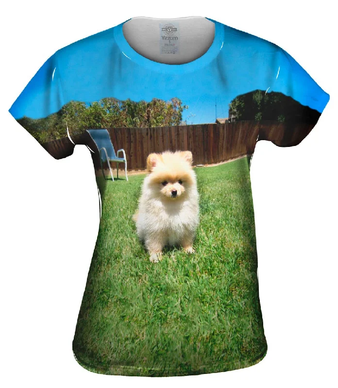 Unmissable Offer Perfect Backyard Pomeranian