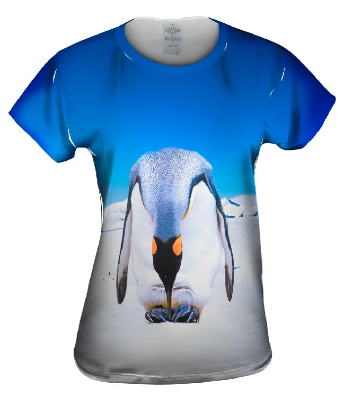 Year-End Sale Penguin Snow