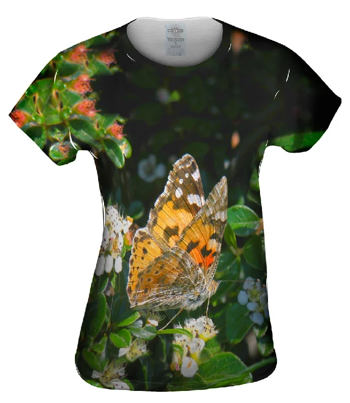 Deal Alert Painted Butterfly Out For A Stroll