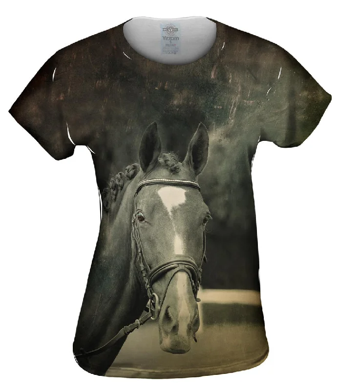 Closeout Paso Fino Stare