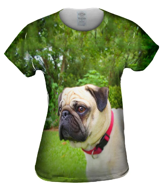 Shop and Save Pug Of Honor